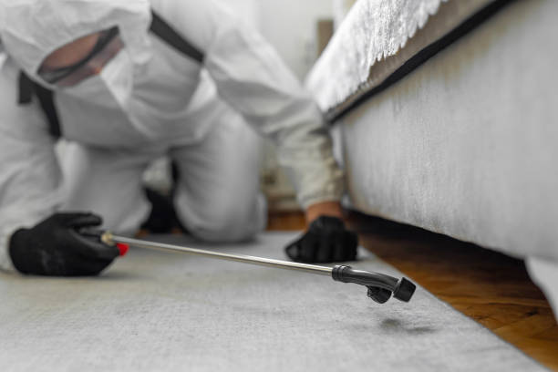 Professional Cockroach Control technician working in West Sayville, NY